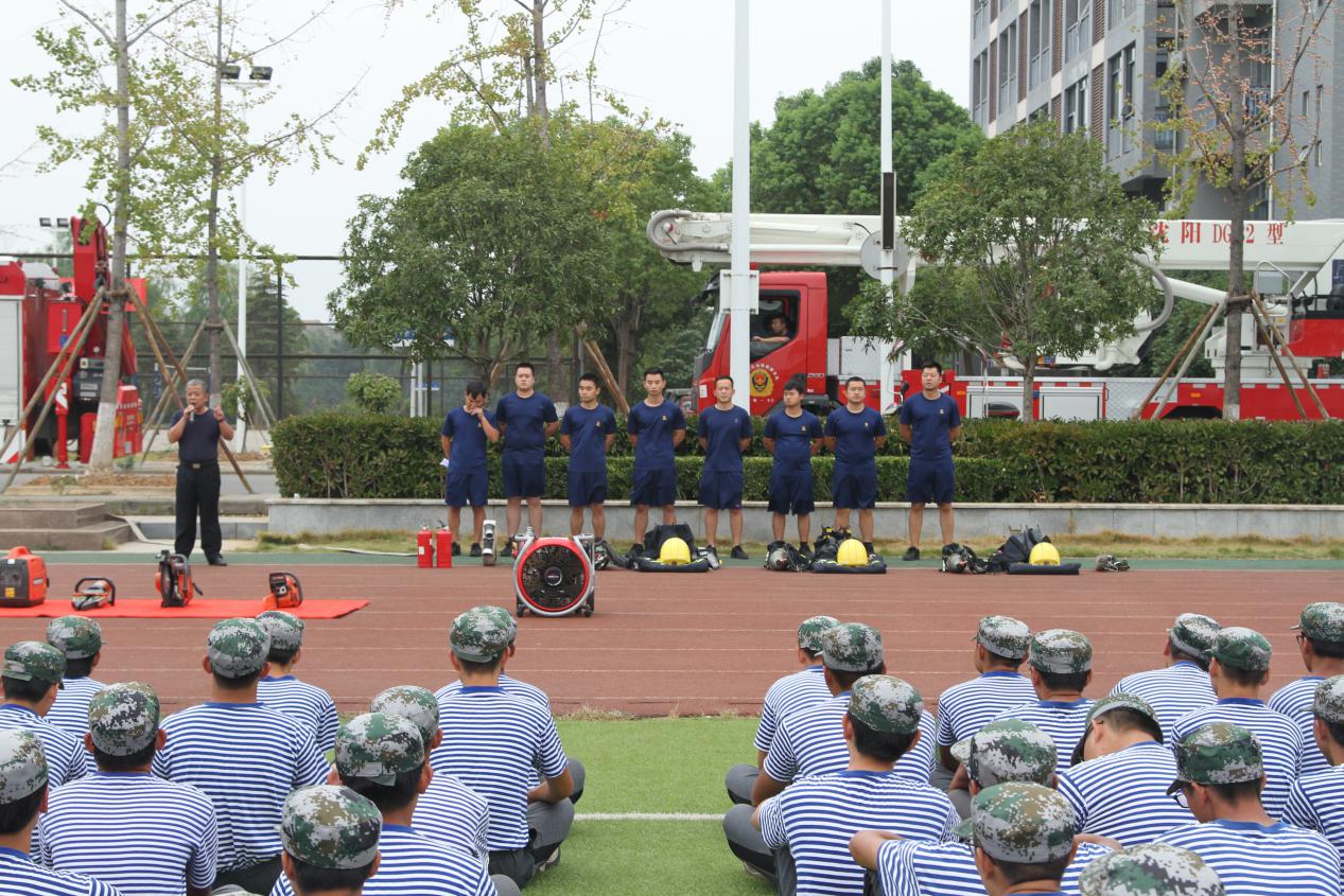 女优av